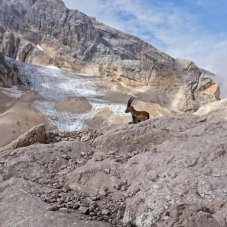 Penzion Lunga Via Delle Dolomiti Calalzo di Cadore