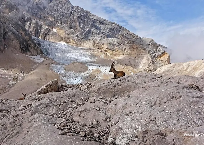 Vendégház Lunga Via Delle Dolomiti Calalzo di Cadore